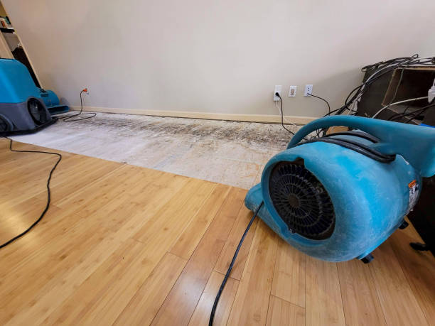 Professional Basement Flood Cleanup technician working in Victoria, KS